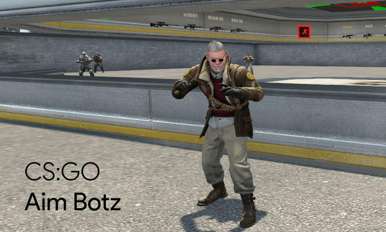 Aim Botz - Training Haritası